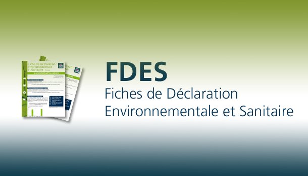 De la FDES vers la DEP